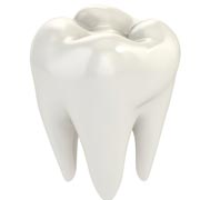 Tooth Treatment Services